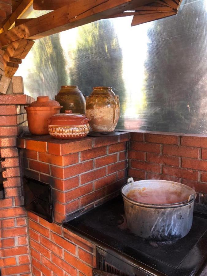 Vila Bijou Borşa Exteriör bild